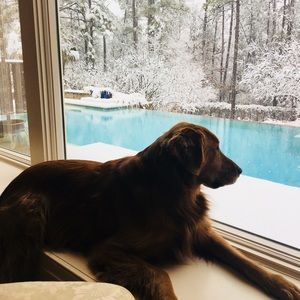 Meet your Posher, Ofelia